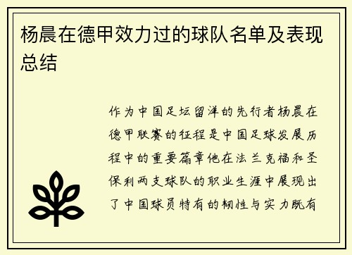 杨晨在德甲效力过的球队名单及表现总结