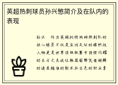 英超热刺球员孙兴慜简介及在队内的表现